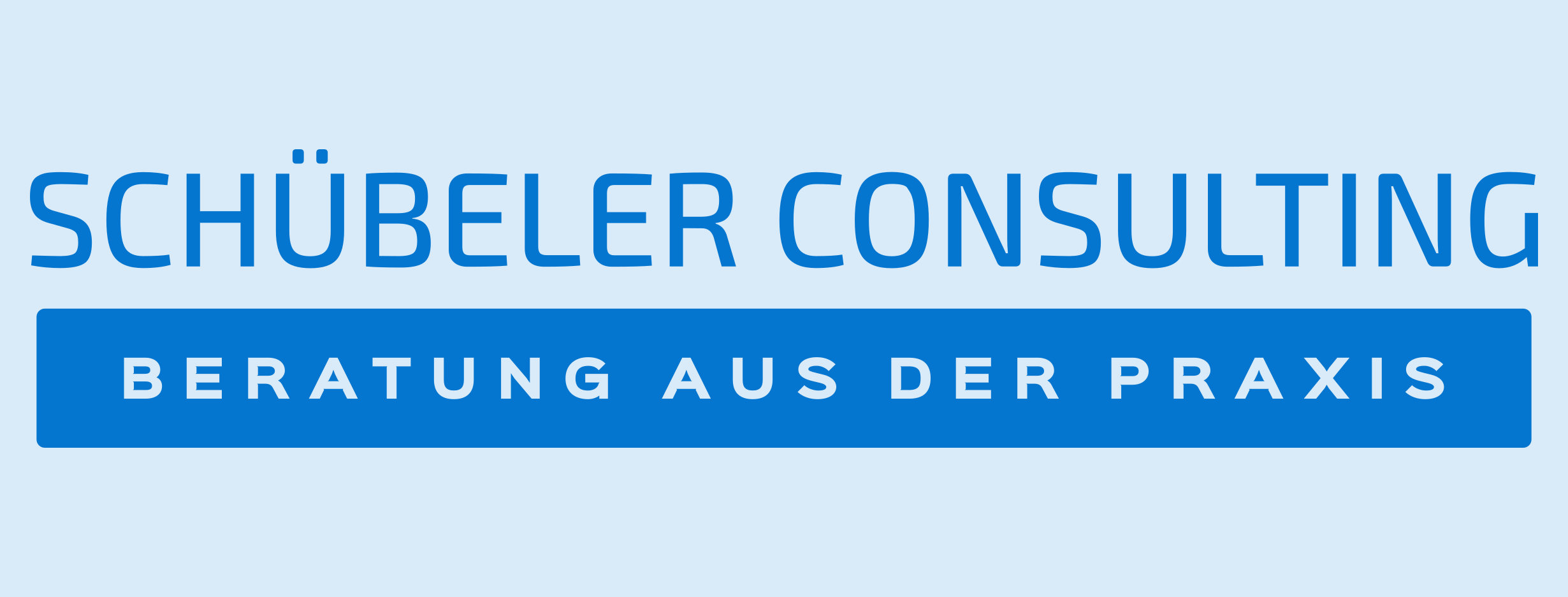 Forum von Schübeler Consulting